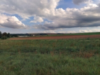 Prodej 2,6 ha orné půdy v k.ú. Otovice u Broumova
