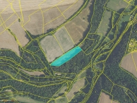 Prodej 1,7 ha zemědělské půdy v k.ú. Velká Lečice