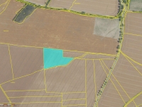 Prodej 1,7 ha zemědělské půdy v k.ú. Velká Lečice