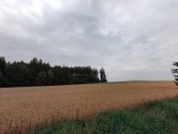 Prodej 2,42 ha zemědělské půdy v k.ú. Horní Borek