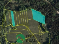 Prodej zemědělské půdy 32 894 m2 - Seč