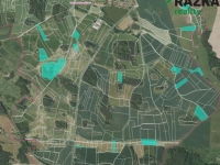 Zemědělské pozemky 21 ha Velký Bor u Horažďovic