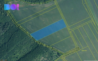 Prodej pole, 1062 m, Želetice u Kyjova