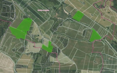 Zemědělské pozemky 14 ha Velešice u Pačejova