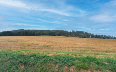 Zemědělská půda, prodej, Žinkovy, Plzeň jih