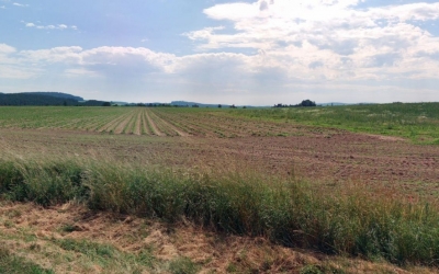 Zemědělská půda, prodej, Albrechtice nad Vltavou, Písek
