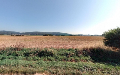 Zemědělská půda, prodej, Bohuslavice, Šumperk
