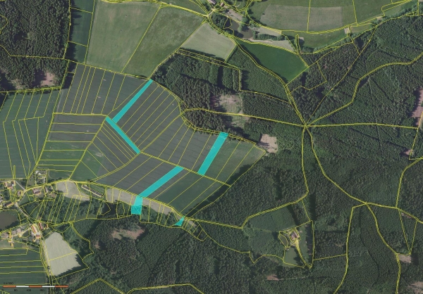 Prodej 2,42 ha zemědělské půdy v k.ú. Horní Borek