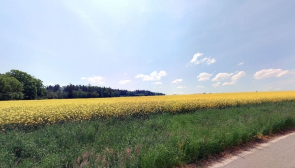 Zemědělská půda, prodej, Javorník, Ústí nad Orlicí