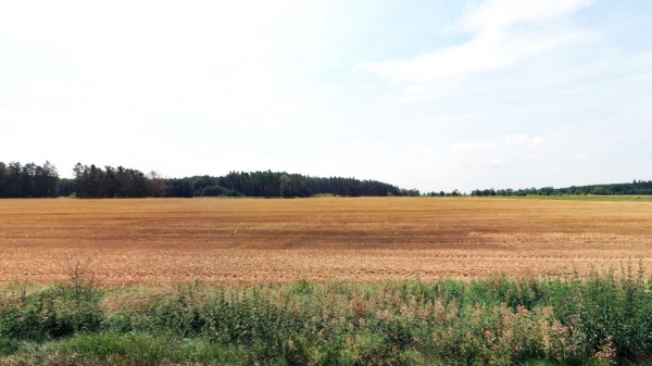 Zemědělská půda, prodej, Košetice, Líšťany, Plzeň sever