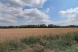Zemědělská půda, prodej, Římov, České Budějovice