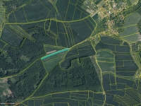 Prodej 2,05 ha půdy v k.ú. Příčina
