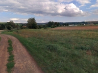 Prodej 2,6 ha orné půdy v k.ú. Otovice u Broumova