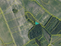 Prodej 5,49 ha v k.ú. Děbolín