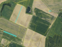 Prodej 1,72 ha půdy v k.ú. Řepeč