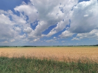 Prodej 1,72 ha půdy v k.ú. Řepeč