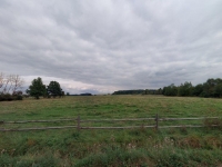 Prodej 1,25 ha půdy v k.ú. Struhaře