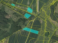 Prodej 5,42 ha zemědělské půdy v k.ú. Střelské Hoštice