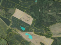 Prodej 5,42 ha zemědělské půdy v k.ú. Střelské Hoštice