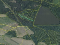 Prodej 1557 m2 v k.ú. Jílovice u Trhových Svinů