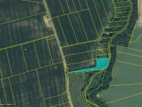 Prodej 4623 m2 travního porostu v k.ú. Sluštice