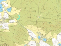 Prodej 1,17 ha louky v k.ú. Nová Ves u Čížové