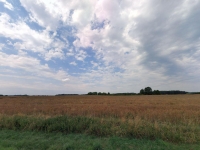 Prodej 6,88 ha půdy v k.ú. Mečichov