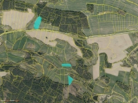 Prodej 6,88 ha půdy v k.ú. Mečichov