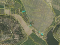 Prodej 6997 m2 půdy v k.ú. Černíkov u Strakonic