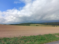 Prodej 1,7 ha zemědělské půdy v k.ú. Velká Lečice