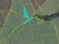 Prodej 6,9 ha zemědělských pozemků v k.ú. Malá Lečice