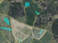 Prodej 5,93 ha půdy v k.ú. Louňouvá