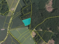 Prodej 2,42 ha zemědělské půdy v k.ú. Horní Borek