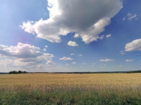 Prodej 5480 m2 půdy v k.ú. Řepeč okr. Tábor