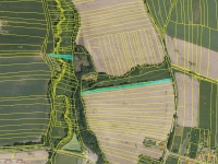 Prodej 5480 m2 půdy v k.ú. Řepeč okr. Tábor