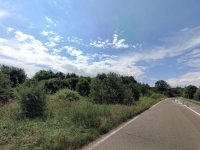Prodej 1,48 ha travních porostů a zahrady v k.ú. Hostavice