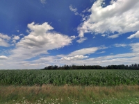 Prodej 1,8 ha půdy v k.ú. Božkovice