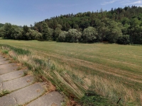 Prodej 3578 m2 travního porostu na břehu Sázavy v k.ú. Čeřenice