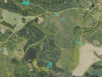Prodej 7,21 ha zemědělské půdy v k.ú. Slivonice