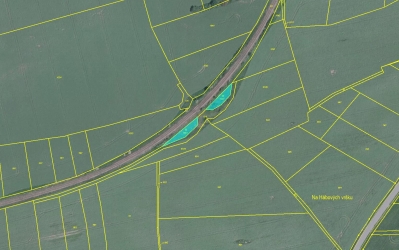 Prodej 441 m2 louky v k.ú. Malá Turná
