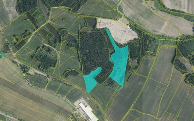 Prodej 5,49 ha v k.ú. Děbolín