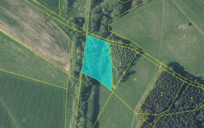 Prodej 0,452 ha půdy v k.ú. Benešov u Broumova