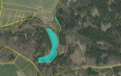 Prodej 1,17 ha louky v k.ú. Nová Ves u Čížové