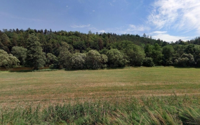 Prodej 3578 m2 travního porostu na břehu Sázavy v k.ú. Čeřenice