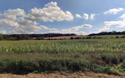 Zemědělská půda, prodej, Velečín, Plzeň sever