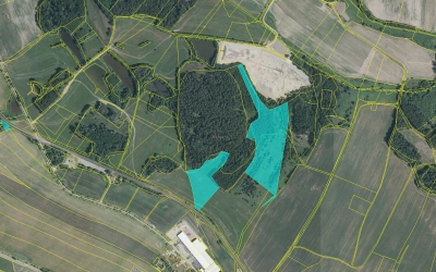 Prodej 5,49 ha v k.ú. Děbolín
