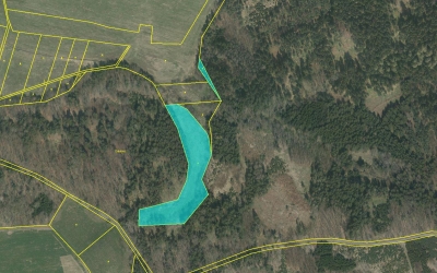 Prodej 1,17 ha louky v k.ú. Nová Ves u Čížové