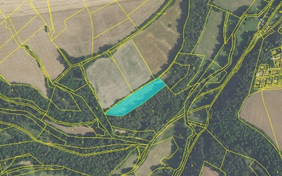 Prodej 1,7 ha zemědělské půdy v k.ú. Velká Lečice