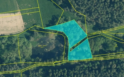 Prodej 2963 m2 louky v k.ú. Damnov