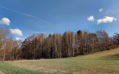 Prodej 2,29 ha pozemků v k.ú. Hošťka
